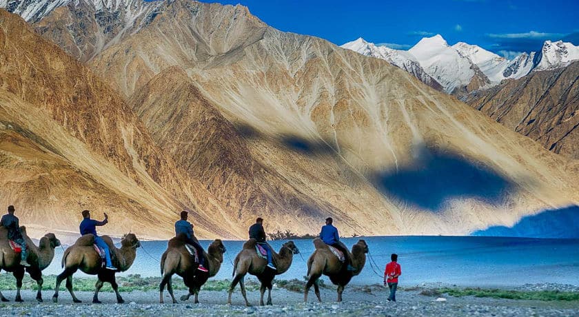 Leh Pangong Khardungla Package 